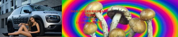 mdpv Мегион