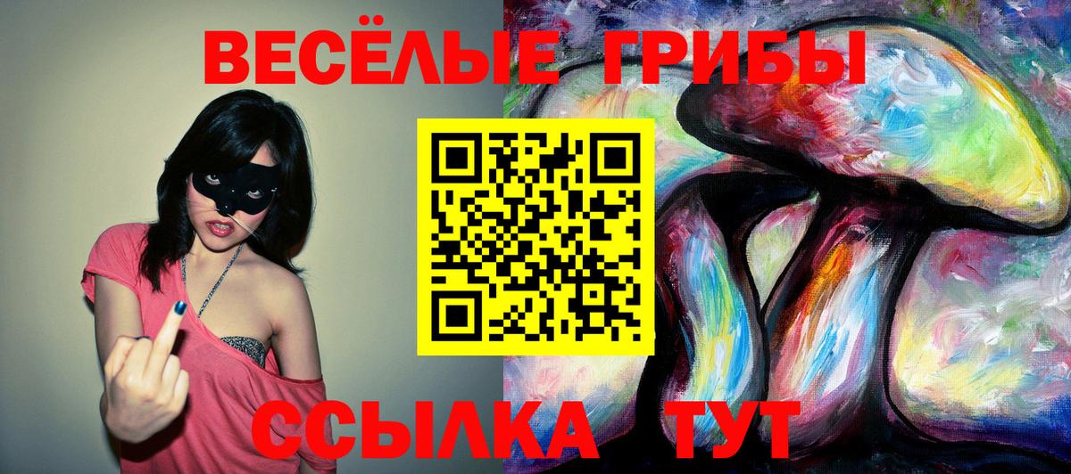 Галлюциногенные грибы Cubensis  Вход с VPN  Смоленск 